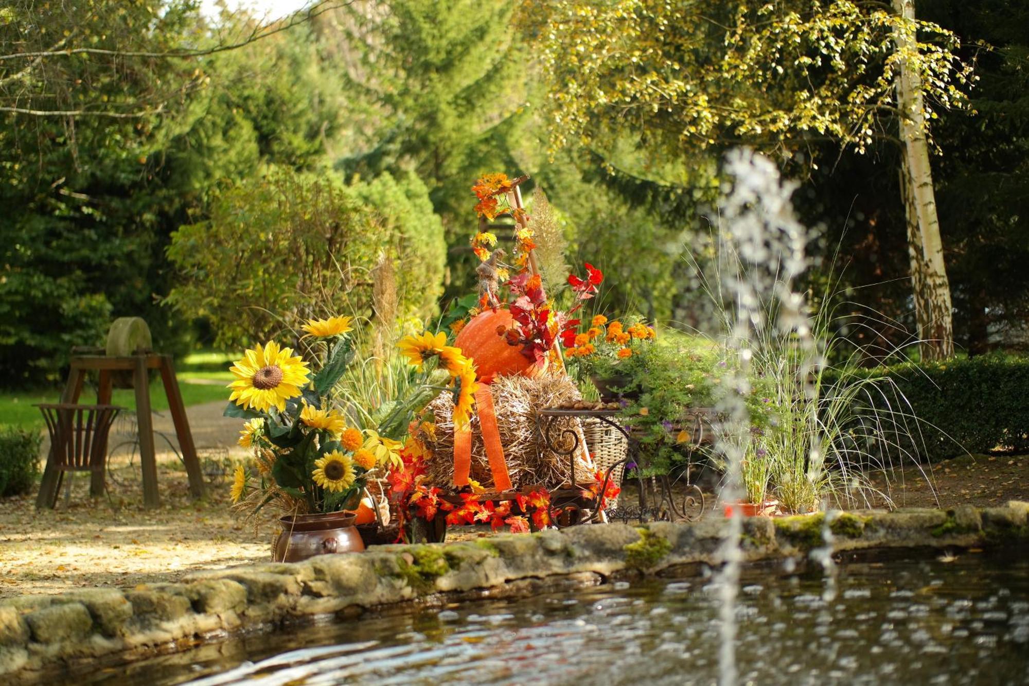 Harzer Feriengarten Quedlinburg Ngoại thất bức ảnh