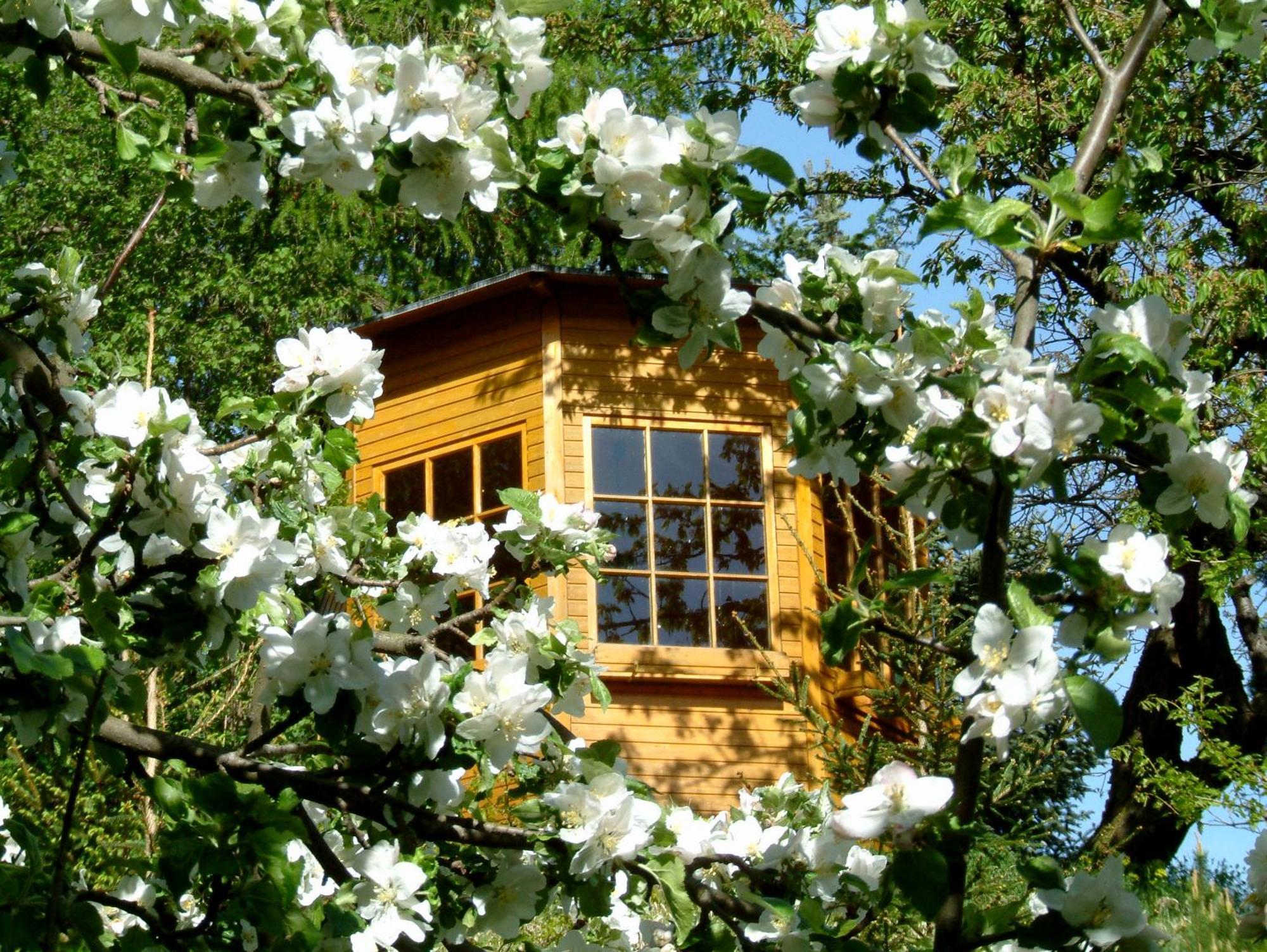 Harzer Feriengarten Quedlinburg Ngoại thất bức ảnh