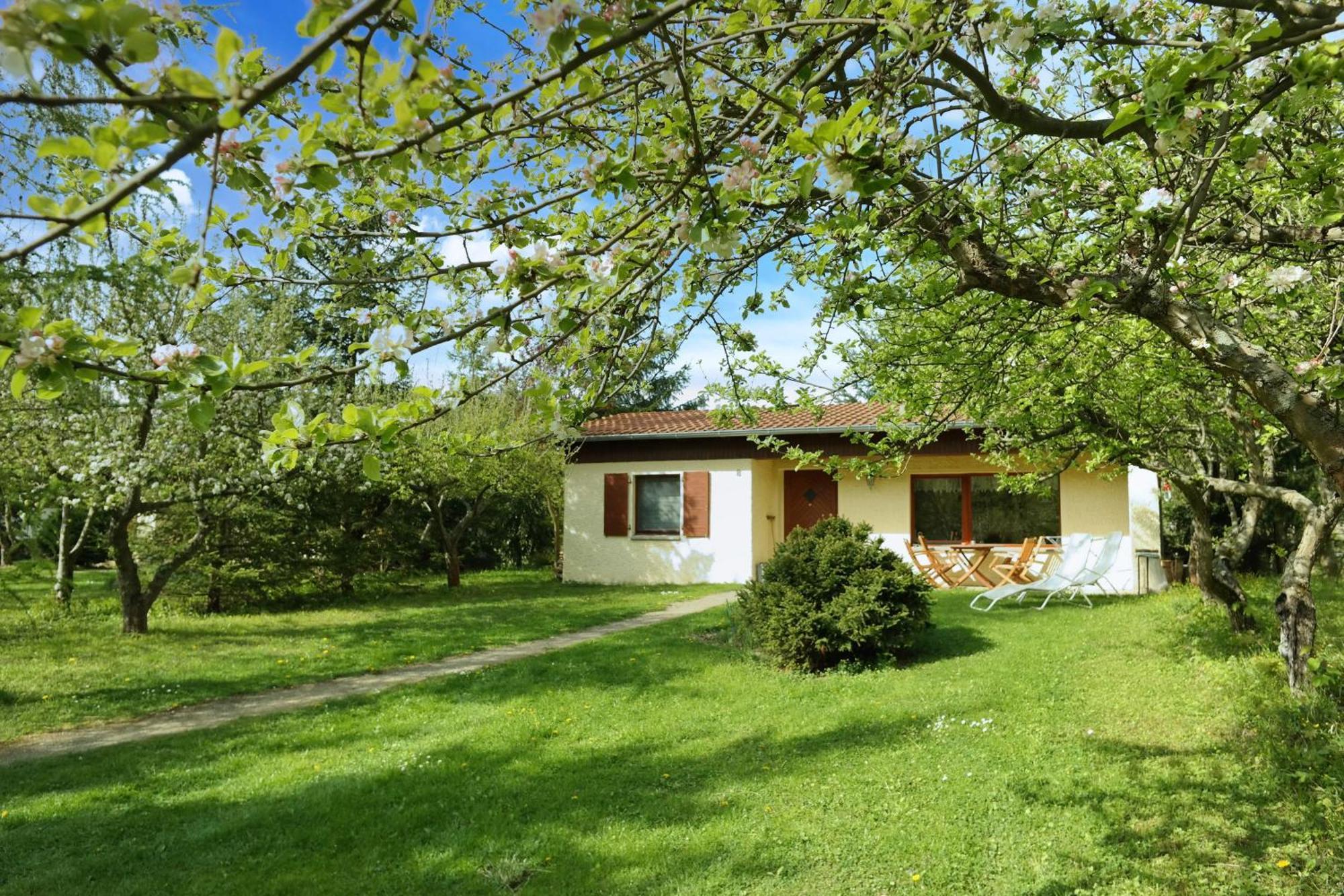 Harzer Feriengarten Quedlinburg Ngoại thất bức ảnh