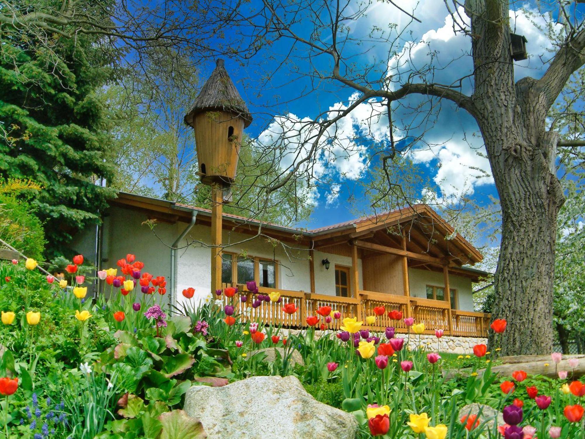 Harzer Feriengarten Quedlinburg Ngoại thất bức ảnh